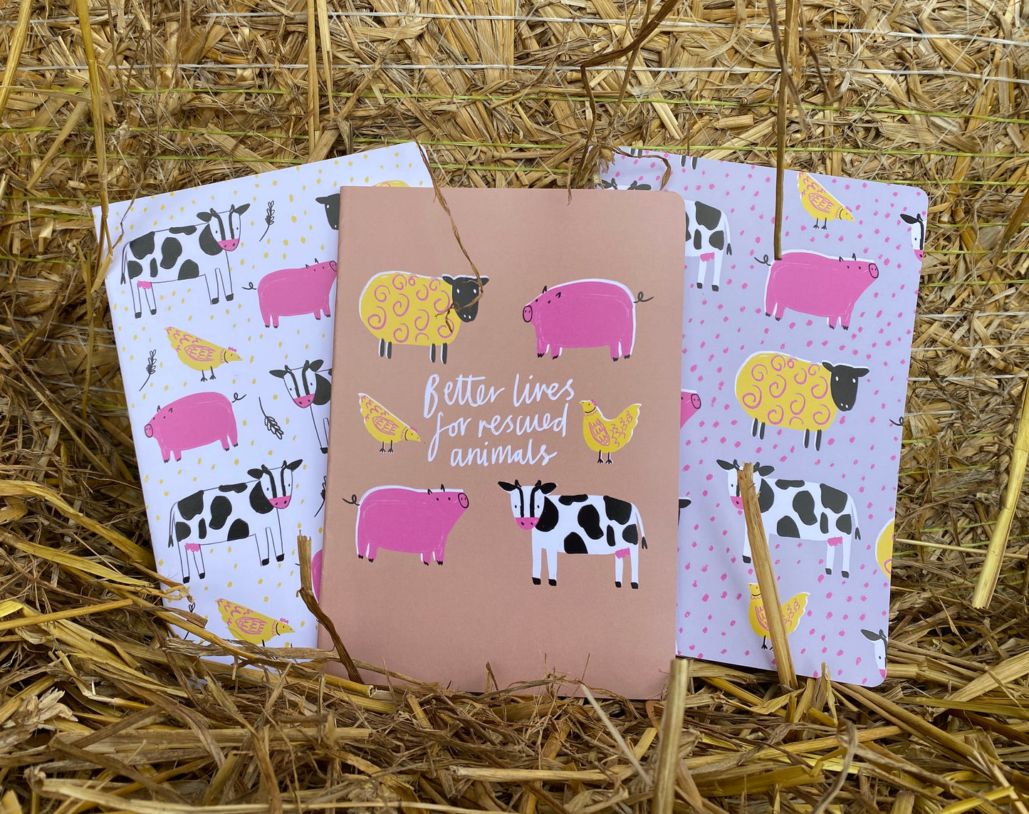 Goodheart Notebook Set (pack of 3)