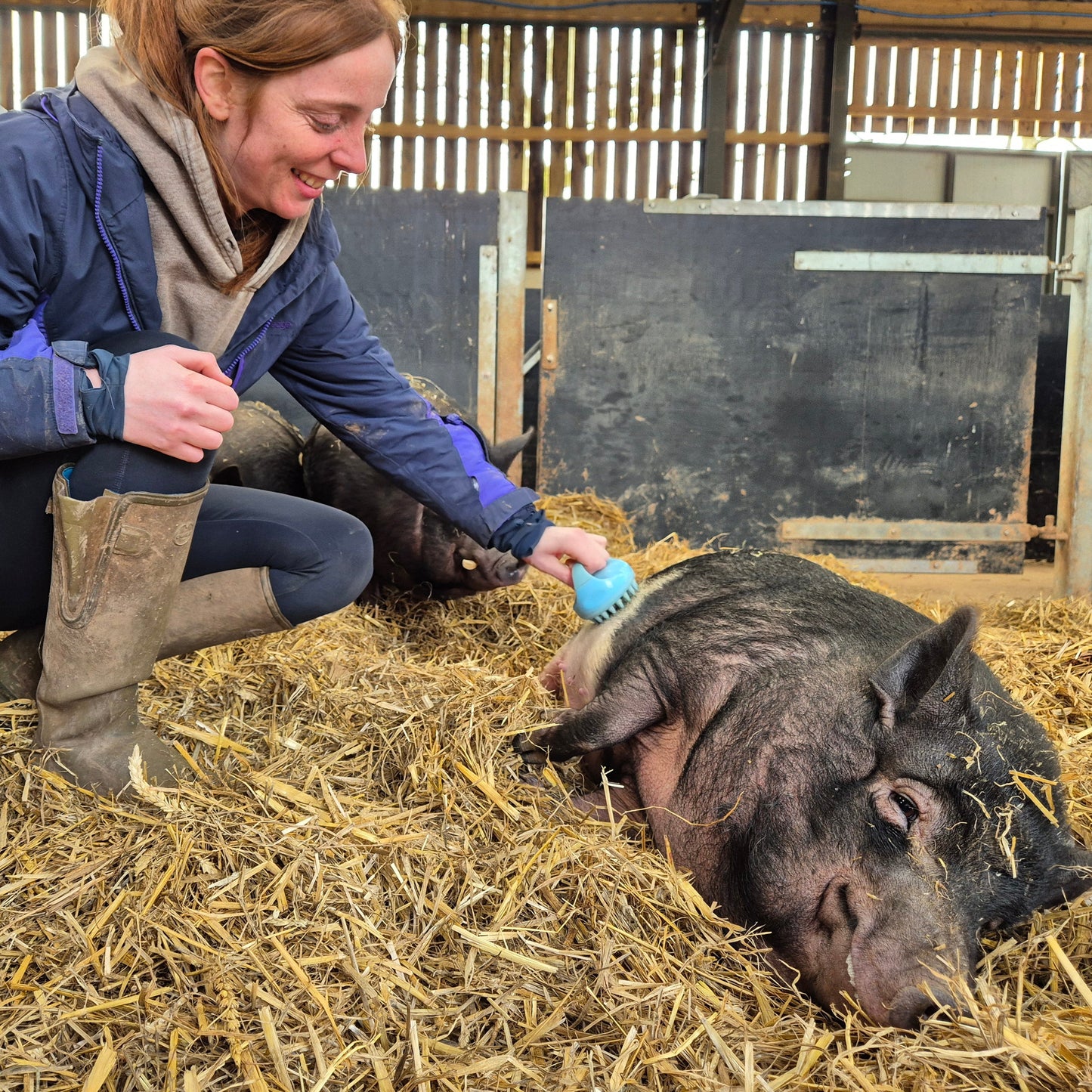 Winter Pig Experience for Two E-Voucher