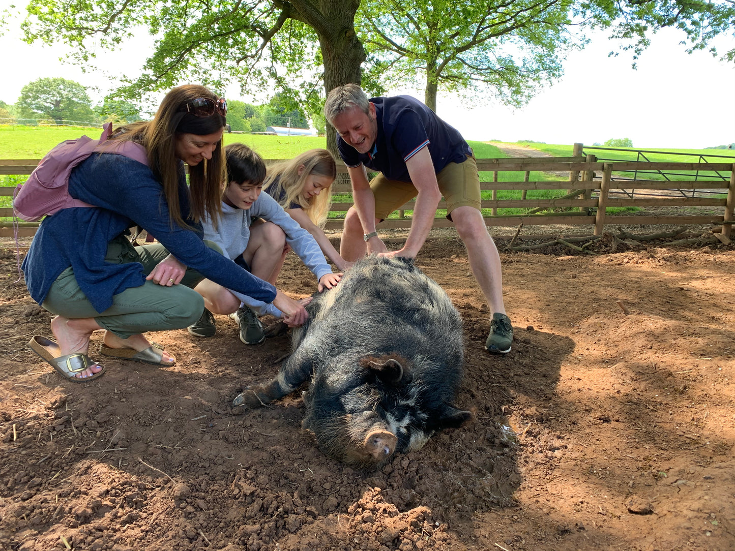'Pig'nic Experience for Four E-Voucher