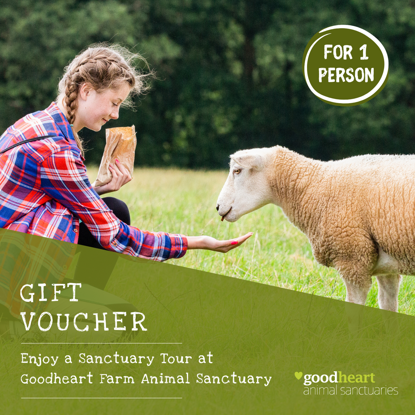 Sanctuary Tour E-Voucher