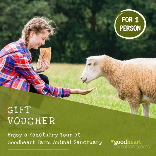 Sanctuary Tour E-Voucher