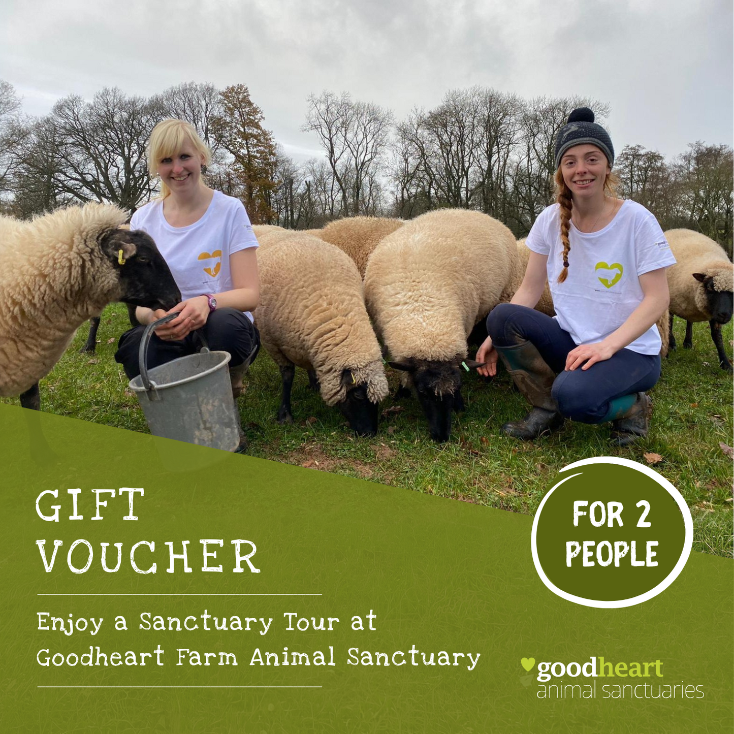 Sanctuary Tour E-Voucher