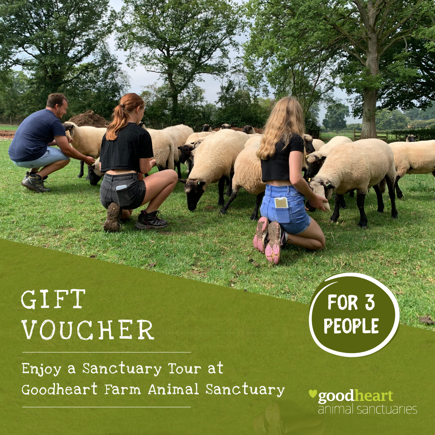 Sanctuary Tour E-Voucher