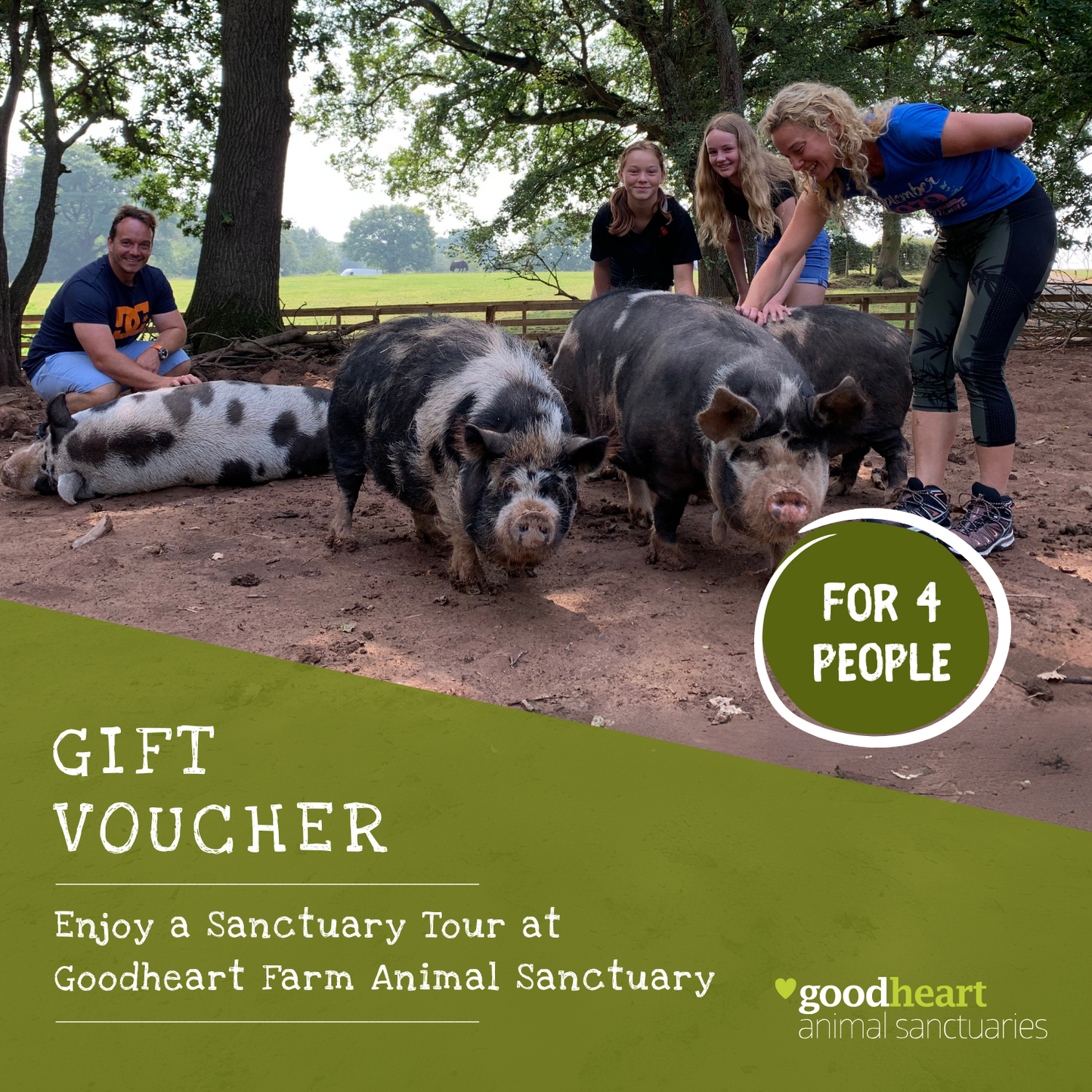 Sanctuary Tour E-Voucher