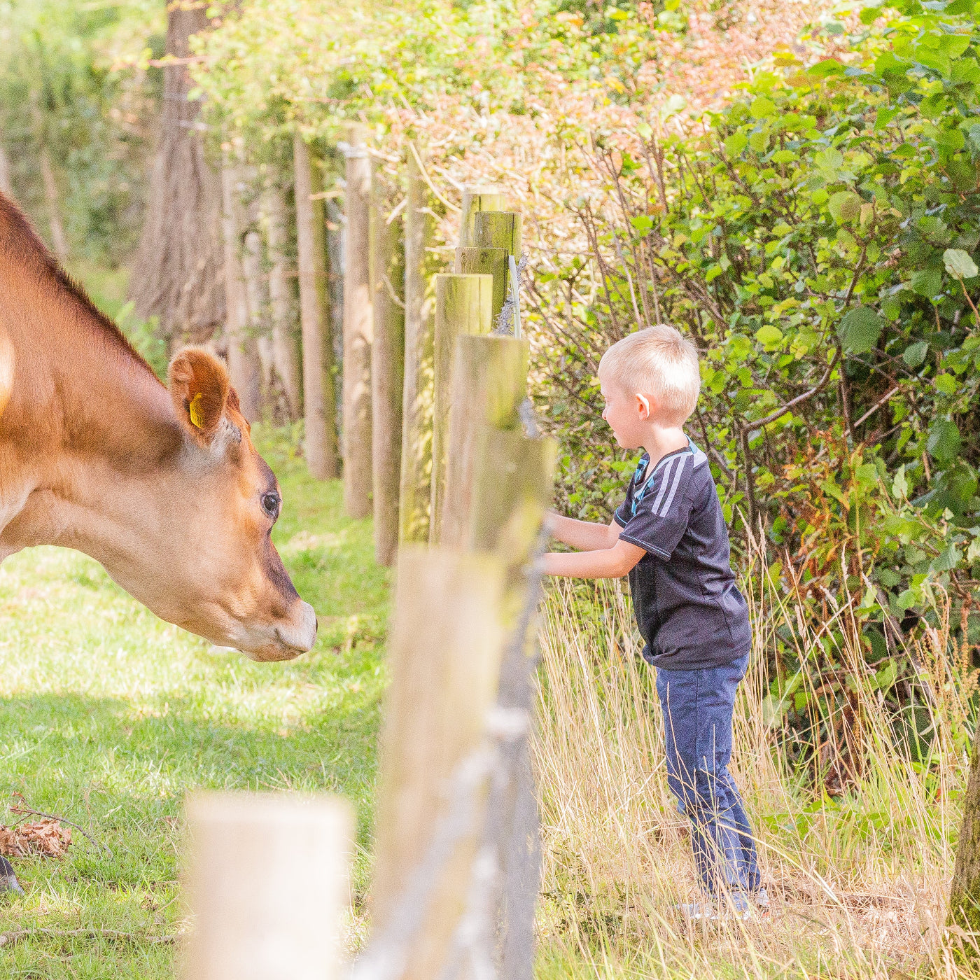 Sanctuary Tour Gift Voucher