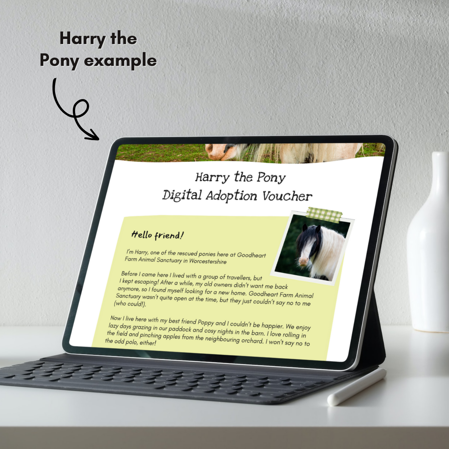 Adopt an Alpaca - Digital Adoption Pack