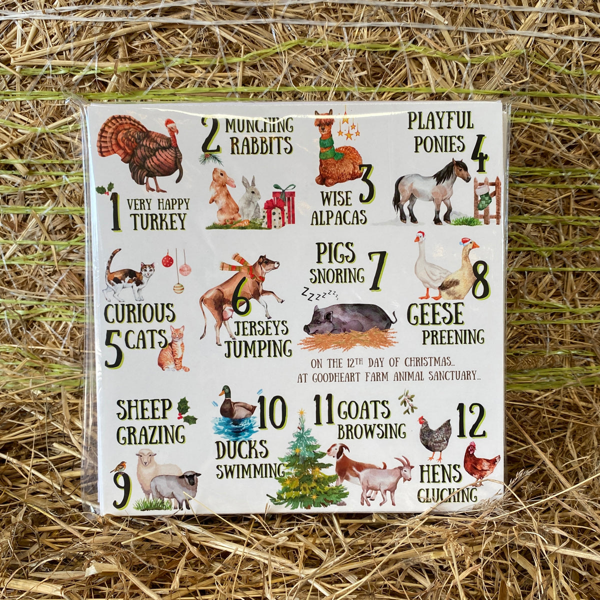12 Days of Goodheart Christmas Cards (pack of 10)