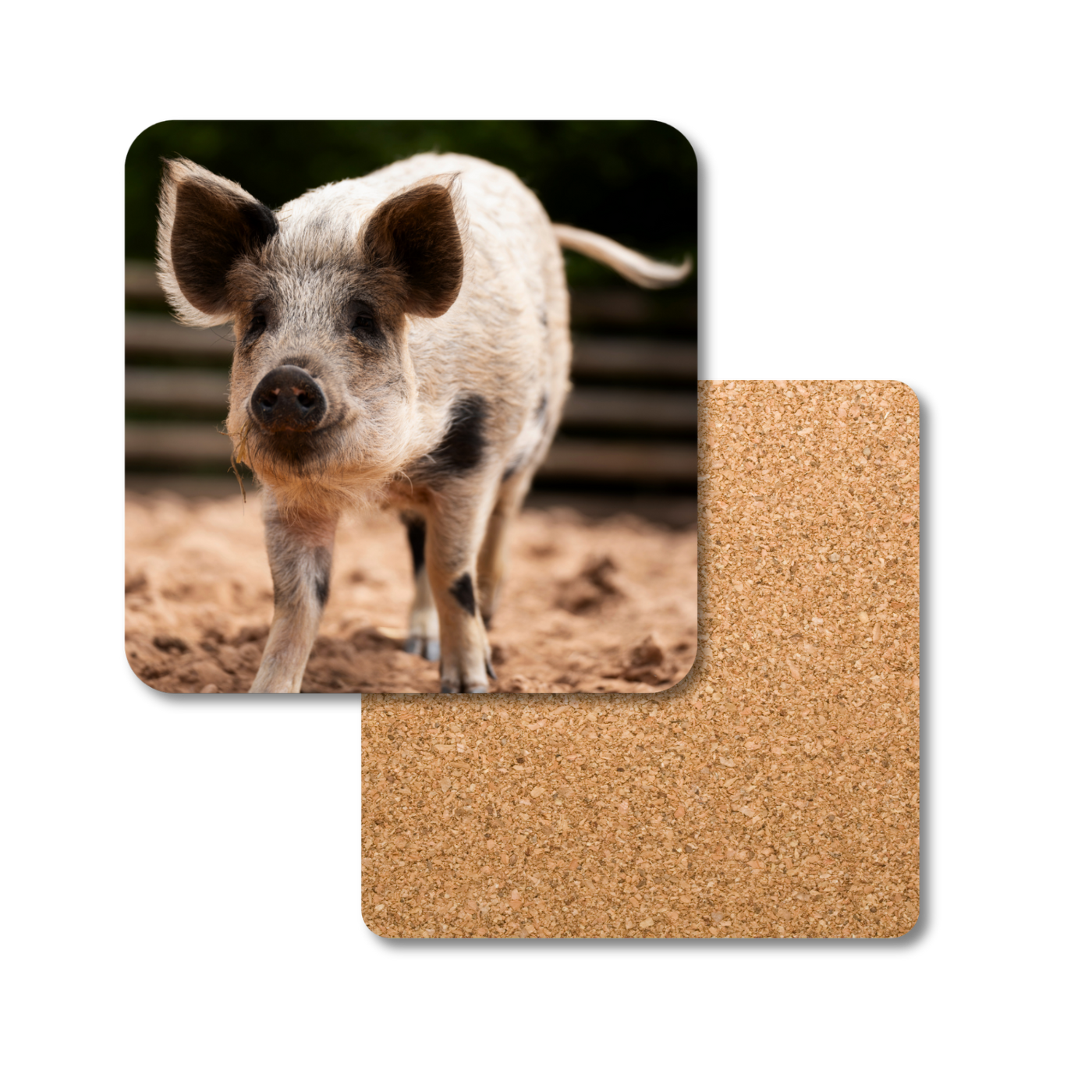 Lizzie the Pig Coaster