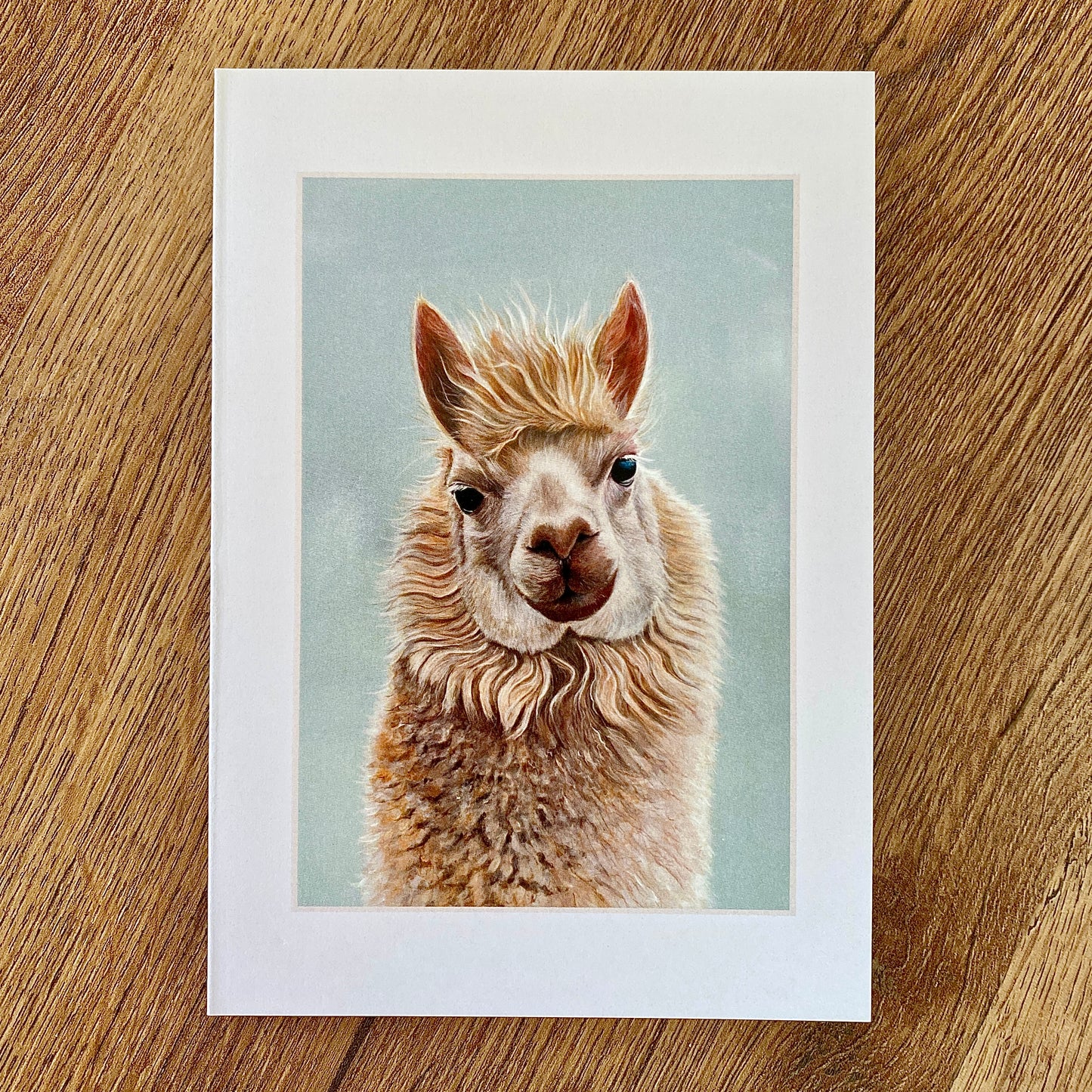 Alpaca Greetings Cards (pack of 3)