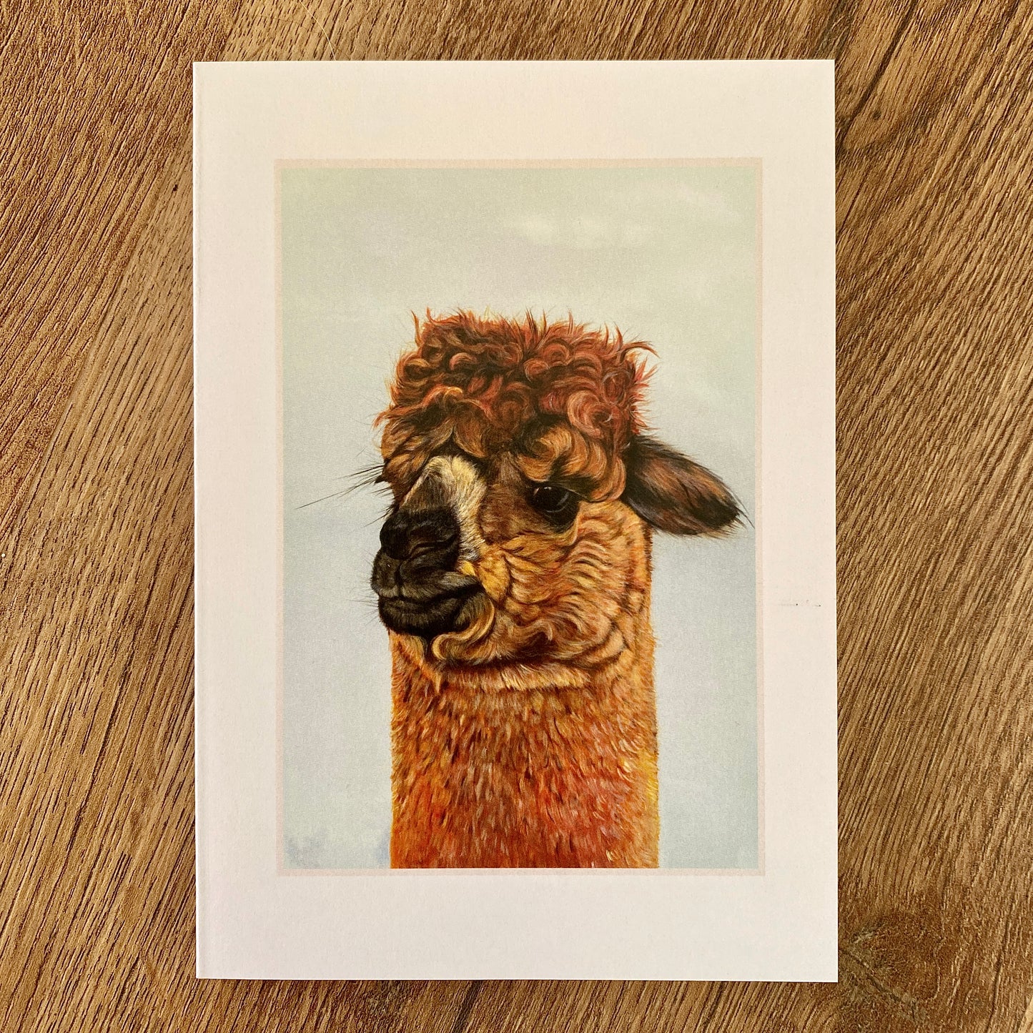 Alpaca Greetings Cards (pack of 3)