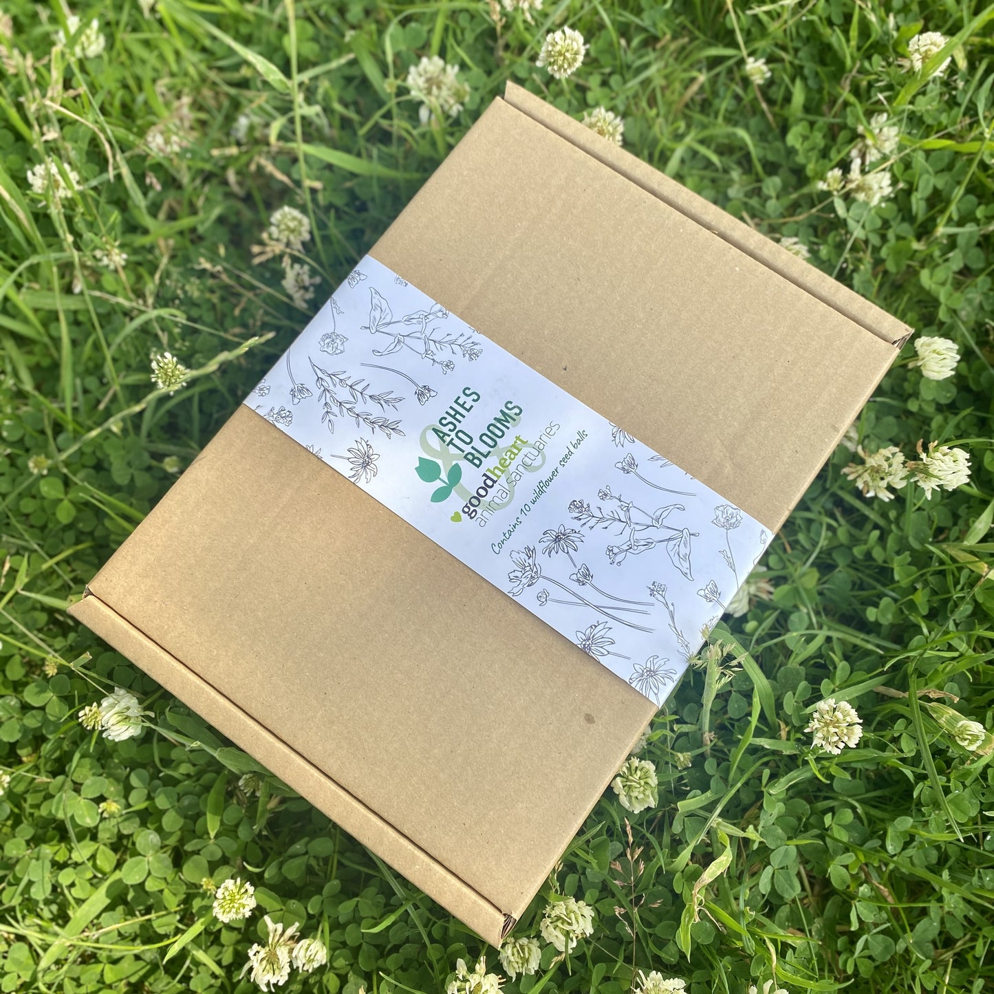 Goodheart x Ashes to Blooms Wildflower Seed Ball Set