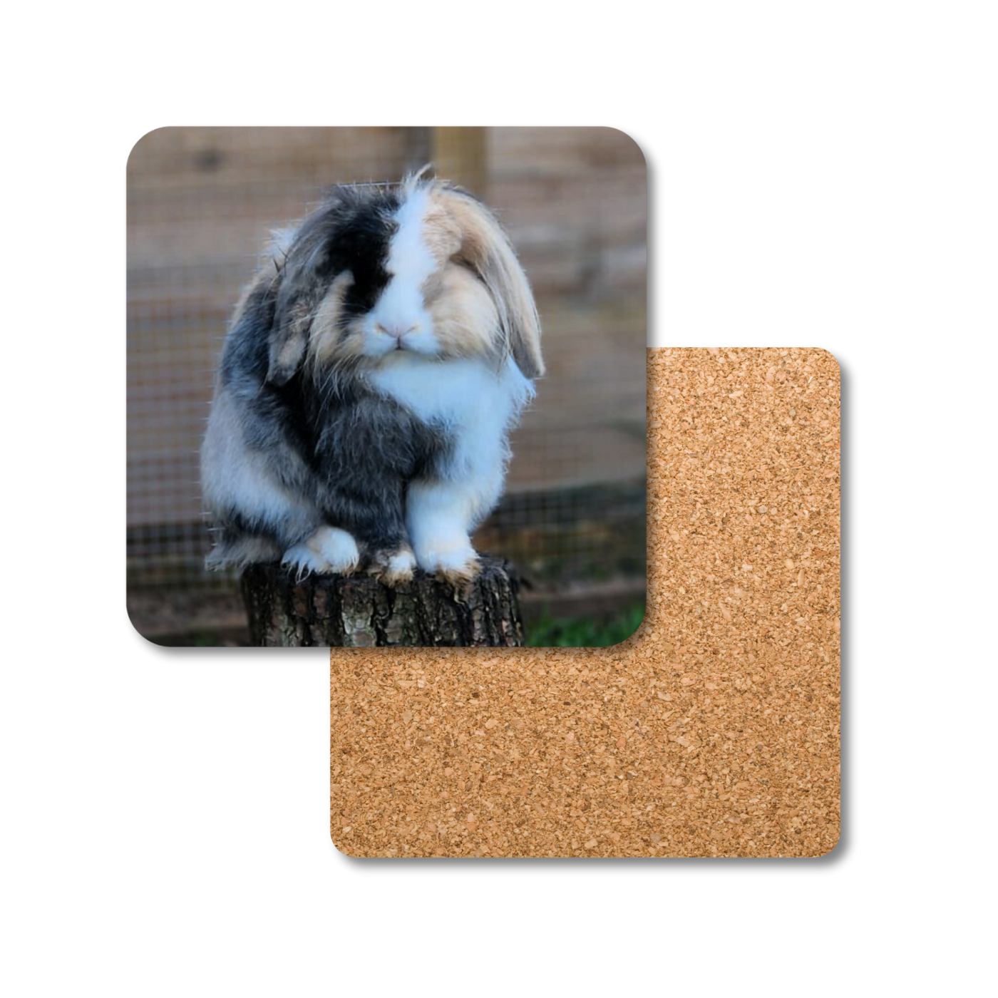 Bigwig the Rabbit Coaster