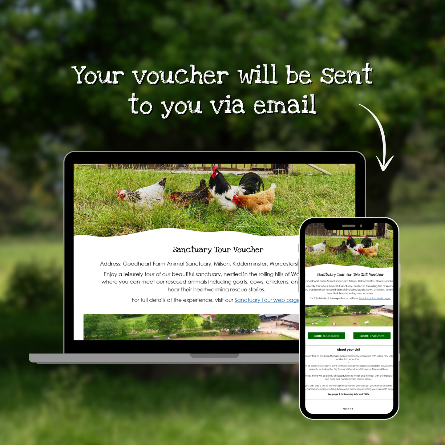 'Pig'nic Experience for Four E-Voucher