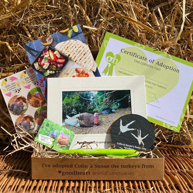 Turkey Adoption Box