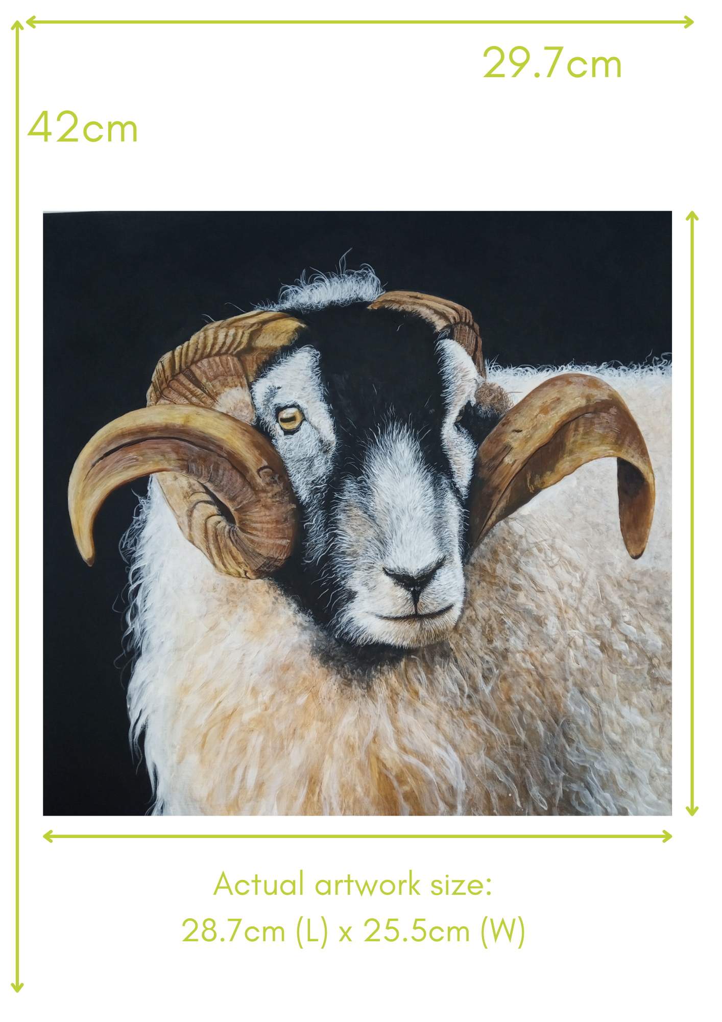 'Reg the Ram' A3 Print
