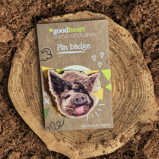 Pig Wooden Pin Badge