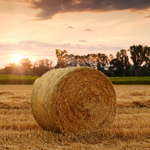 Load image into Gallery viewer, Buy a bale of straw