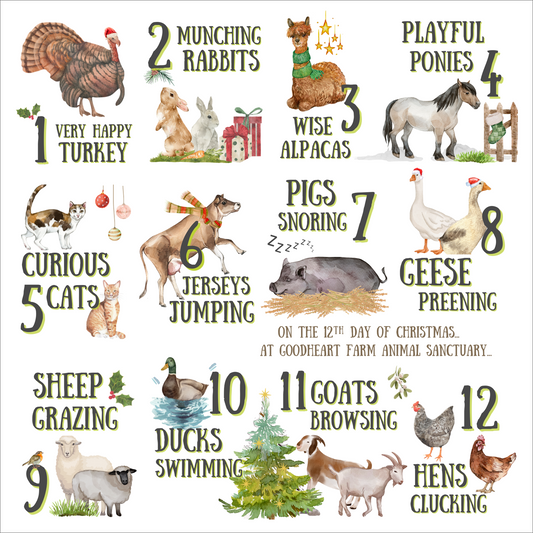 12 Days of Goodheart Christmas Cards (pack of 10)