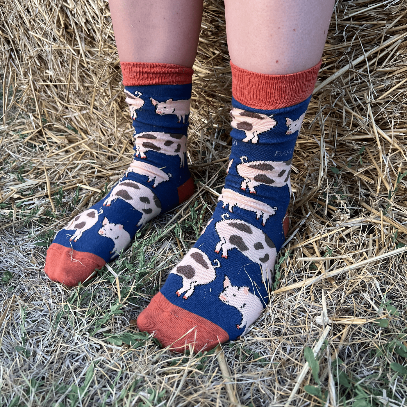 Pig Socks