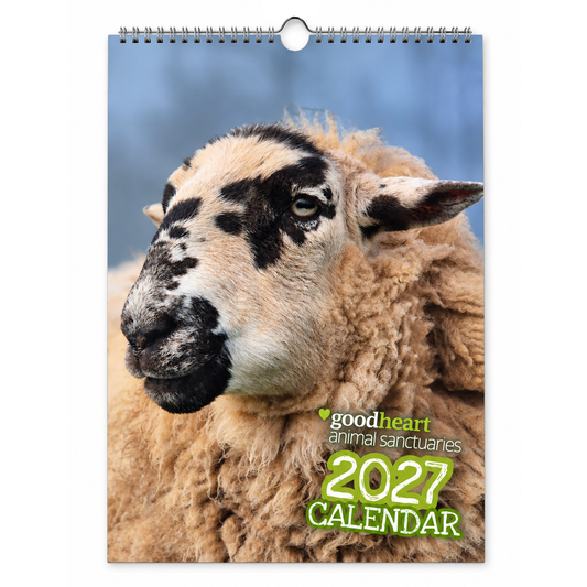 Goodheart 2027 Wall Calendar - Pre-order