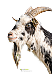 'George the Goat' Print