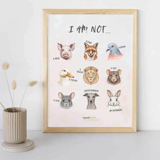 I Am Not... Art Print