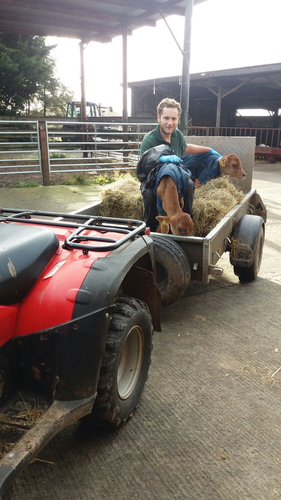 Fill our sanctuary quad bike