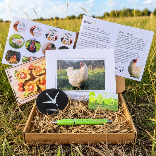 Adopt a Chicken