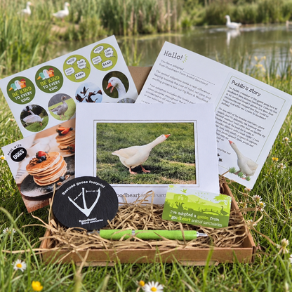 A curated outdoor gift box arranged in a cardboard box on grass by a pond, featuring printed goose-themed cards, a small green fridge magnet, a slate coaster, a green pen, and a framed photo of a white goose. The scene includes a rural outdoor environment with grass, flowers, and water, so this is Lifestyle rather than Product/Packaging.