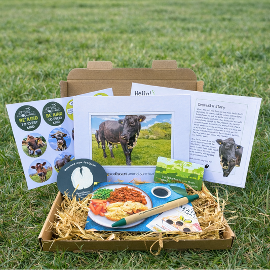 Adopt Everest the Cow