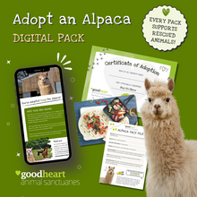 Load image into Gallery viewer, Adopt an Alpaca - Digital Adoption Pack