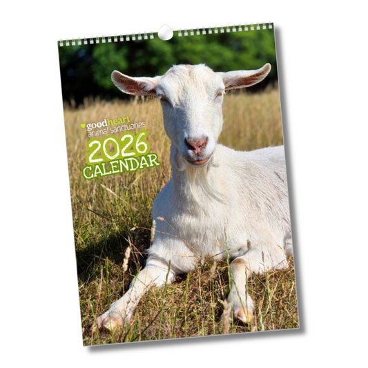 Goodheart 2026 Wall Calendar