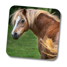 Load image into Gallery viewer, Poppy the Pony Coaster