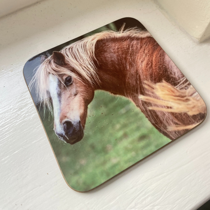 Poppy the Pony Coaster