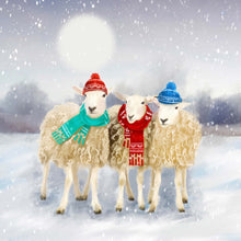 Load image into Gallery viewer, Sheep Christmas Cards (pack of 10)