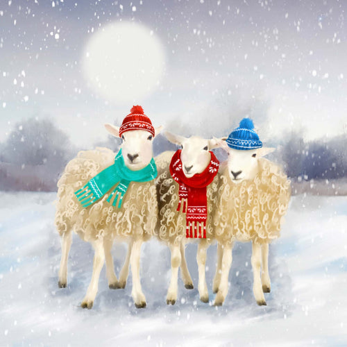 Sheep Christmas Cards (pack of 10)