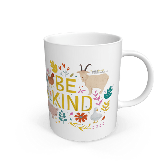 Be Kind Mug