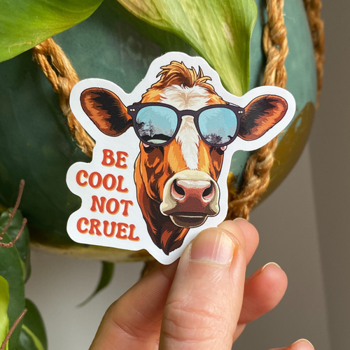 Be Cool Not Cruel Sticker