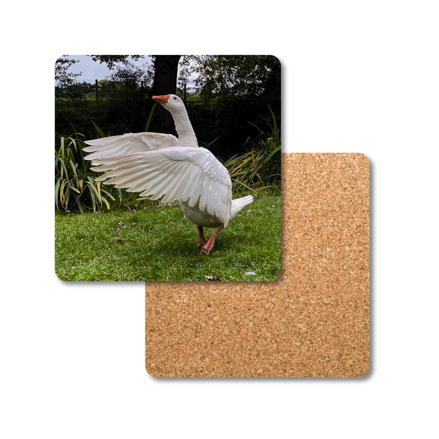 Biscuit the Goose Coaster