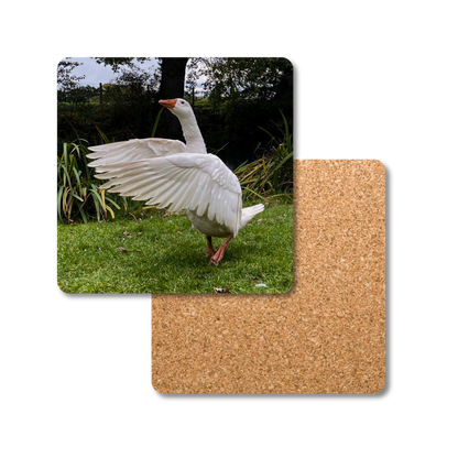 Biscuit the Goose Coaster