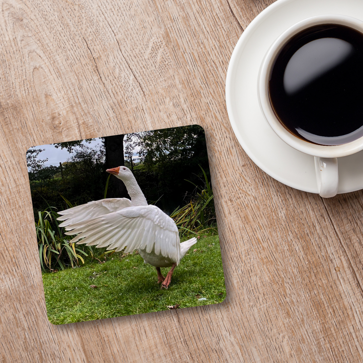 Biscuit the Goose Coaster