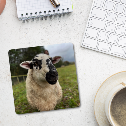 Bob the Sheep Coaster