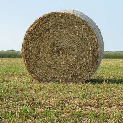 Buy a bale of hay