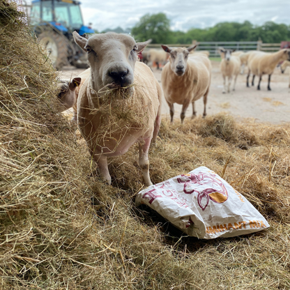 Buy a bale of hay