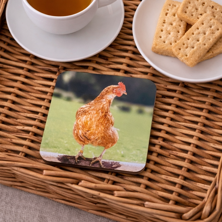 Dorothy the Hen Coaster