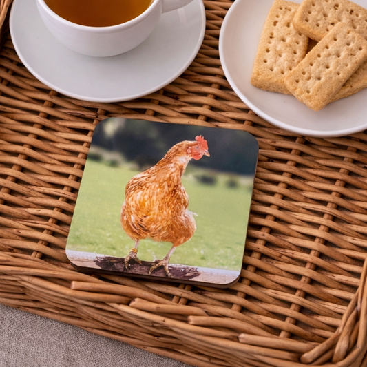 Dorothy the Hen Coaster