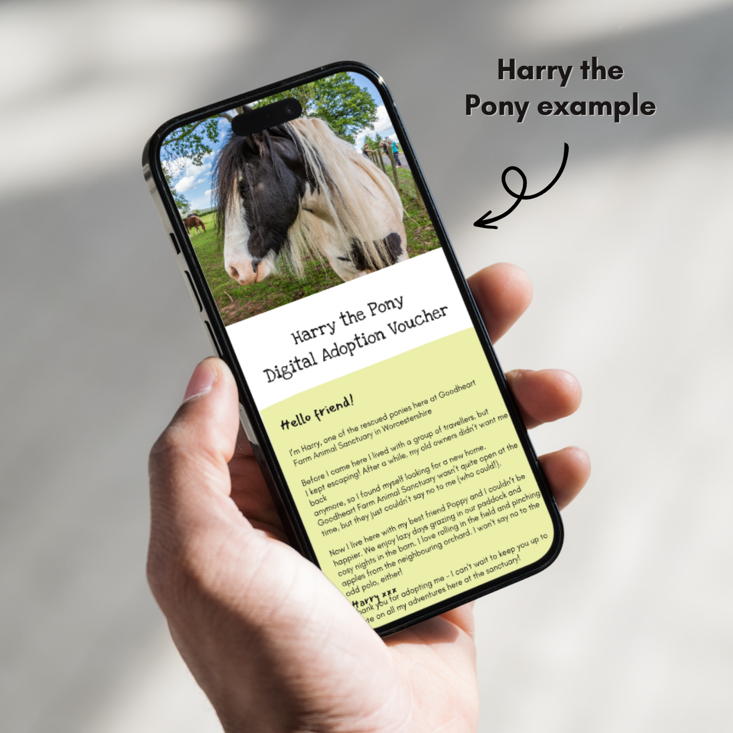 Adopt a Goat - Digital Adoption Pack