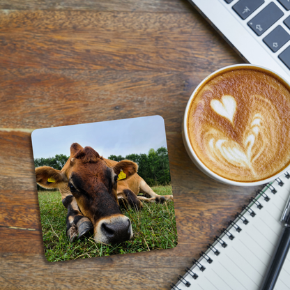 Duncan the Cow Coaster