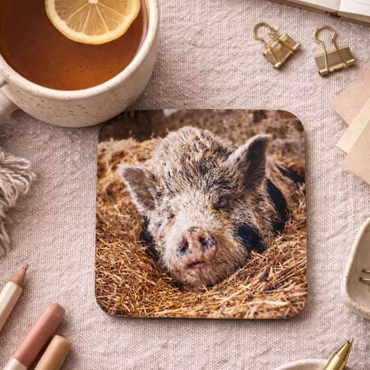 Ellie the Pig Coaster