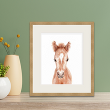 Load image into Gallery viewer, Foal Framed Print